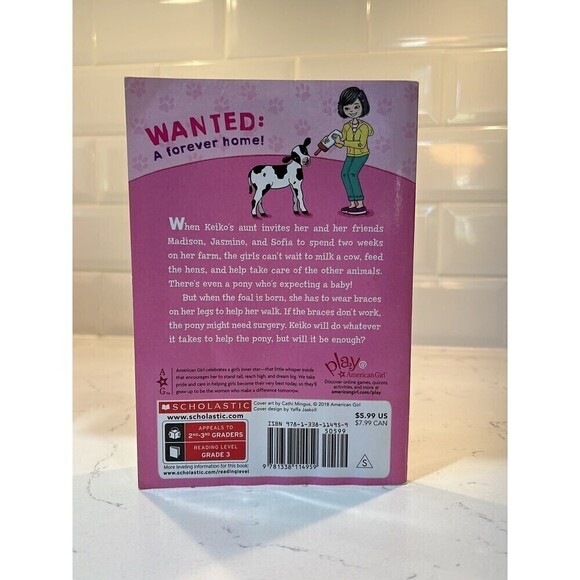 American Girl Forever Friends Keikos Pony Rescue - Picture 2 of 4